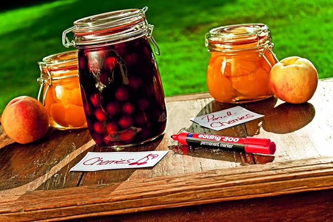 edding 300 permanent marker set of 4